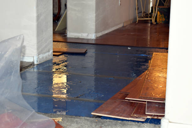 Professional Sewage Cleanup technician working in Julian, NC